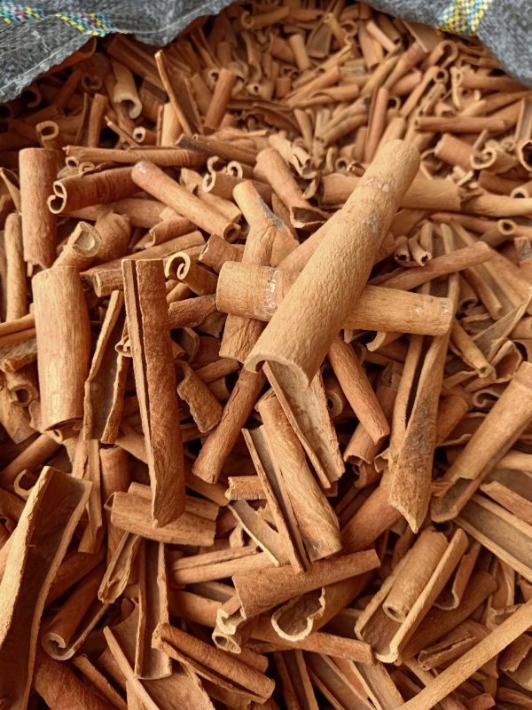 QUẾ VỠ BÀO SÁO